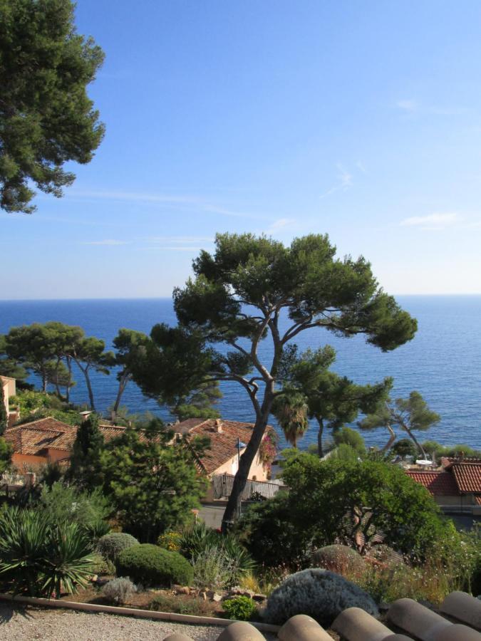 Les Bruyeres Bed & Breakfast Saint-Mandrier-sur-Mer Exterior photo
